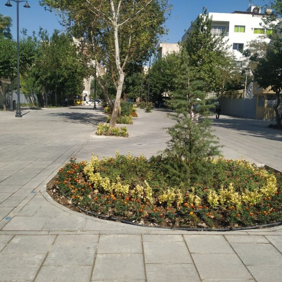 پیاده محوری